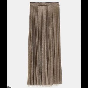 Zara Pleated Metallic Thread Skirt
